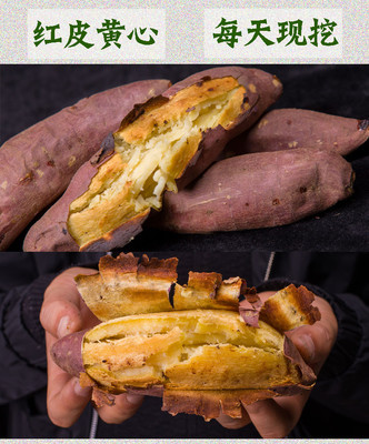 湖南省邵陽市雙清區(qū)扶貧助農產品地瓜 10斤裝