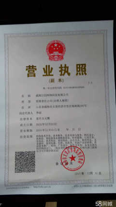 威海巨創網絡科技